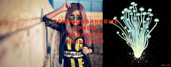 СК Абинск