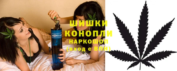СК Абинск