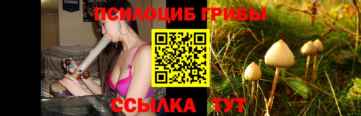 Галлюциногенные грибы ЛСД  Вход с VPN  Галлюциногенные грибы мицелий  Азов 